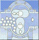 转子泵的工作原理