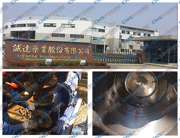 中成泵业赴诚达药业技术服务总结
