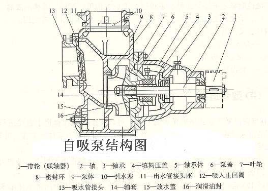 自吸泵的工作原理知识